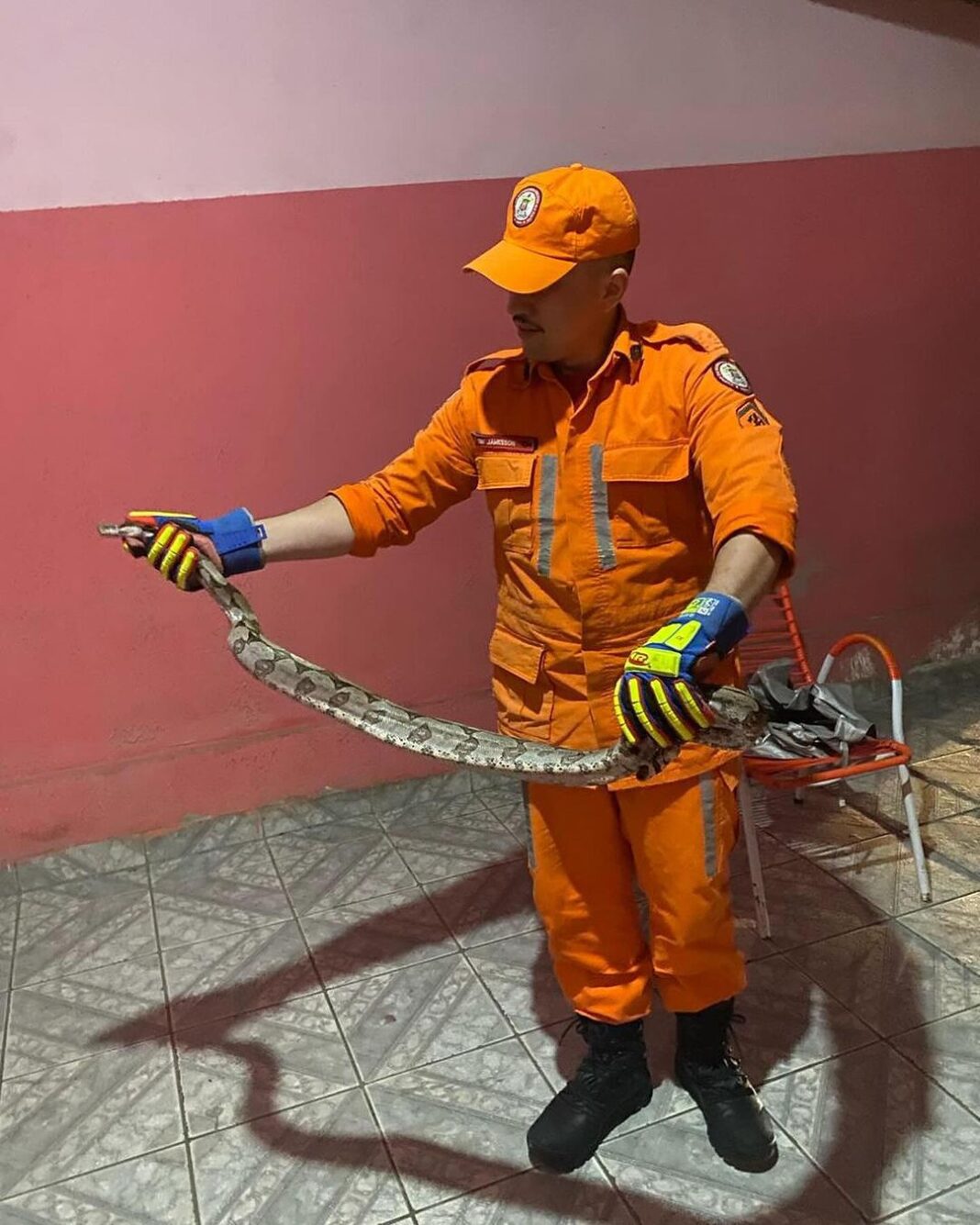 Cobra De Mais De Um Metro Capturada Em Quintal De Casa Em Bom Jesus