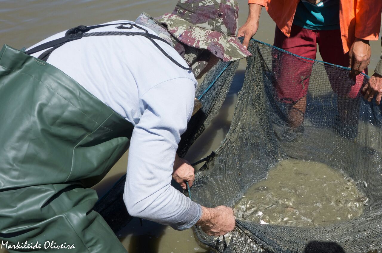 codevasf-participa-de-ao-que-garante-sobrevivncia-de-cerca-de-120-mil-peixes-nativos-no-mdio-so-francisco-baiano_45146731405_o