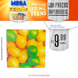 Ofertas Mega Feirão Lojão Costa (31)